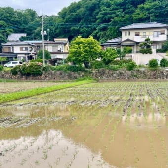 寺家ふるさと村