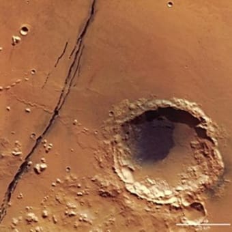 火星の1年間の振動 ver2_2019.12.28
