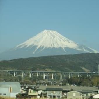 都議選は何が明暗を分けたのか、素人っぽさはウケないのか