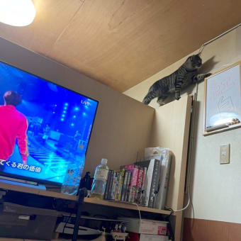 998日目
