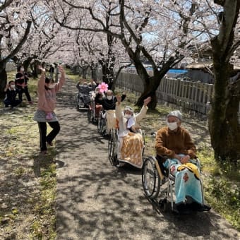 桜のお花見ツアー🌸　〜その１〜