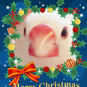 Peeちゃんのクリスマスカード