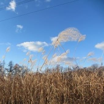 点検が来る前に