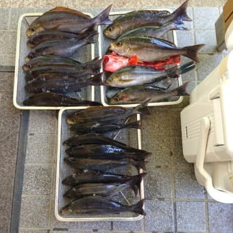 ７０代最後の沖釣りへ