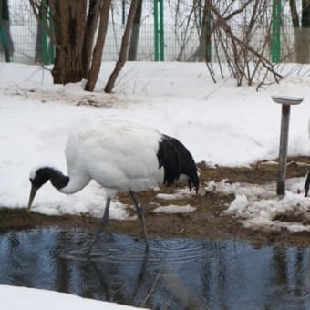 津軽の年末年始・2～津軽富士見湖と猿賀公園～