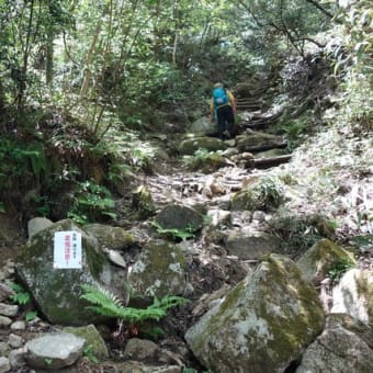 「2019 神戸・六甲山ツーデーウオークに参加」