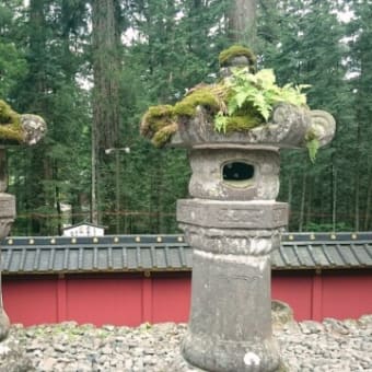 日光の思い出(ほぼ写真のみ)