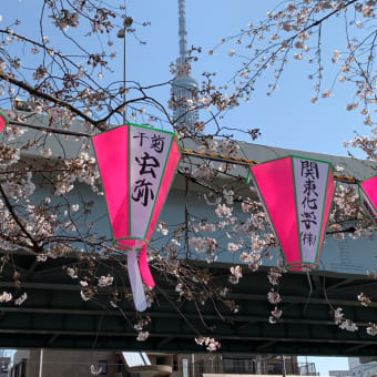 2020年3月26日の隅田川の桜