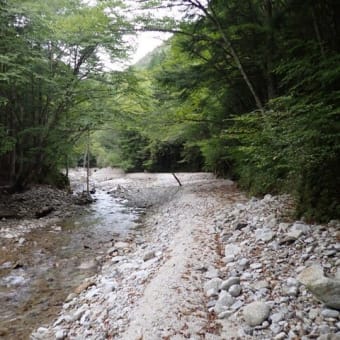 大川入山 矢作川の源流 柳川を遡行
