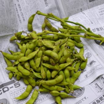 枝豆
