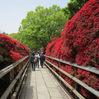 菅原道真が全国の天満宮で祀られることになった経緯