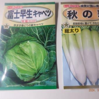 　畑以外で移動の忙しい一日でした　サツマイモ試し掘り　収穫3種類