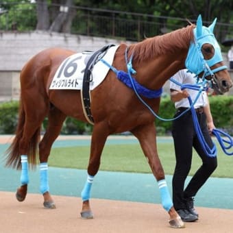 なんとか初勝利を