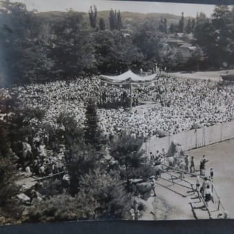 大相撲　若柳巡業　は～どすこいどすこい