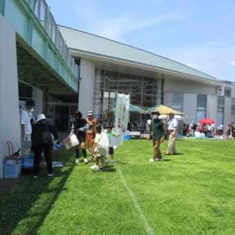 大判かるた取りを開催しました!!