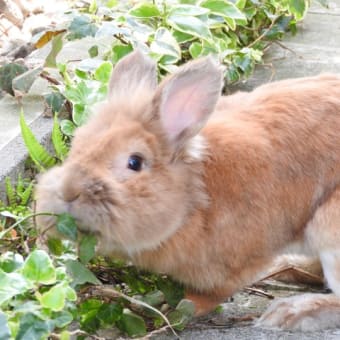 春が来ていました