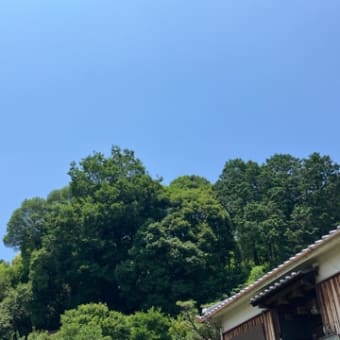 あとは待つしかないそうな