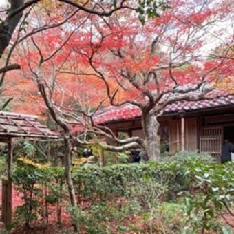 晩秋の京都へ（４）
