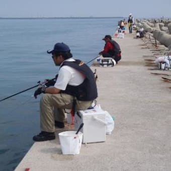 今年も苅田チヌ釣り大会