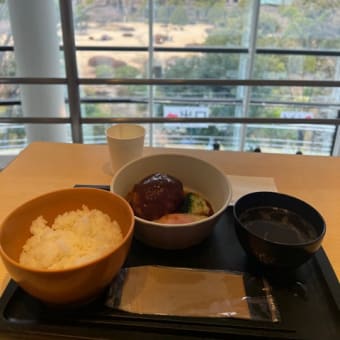 【早稲田】早稲田大学　大隈ガーデンハウスでランチ