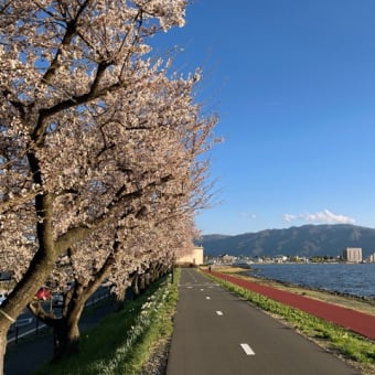 開花しましたね