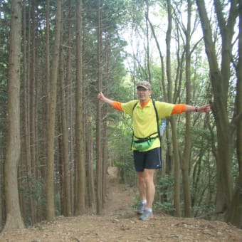 飯能アルプスを行く（天覧山～子の権現～伊豆ヶ岳～武川岳～大持・子持～武甲山～浦山口）