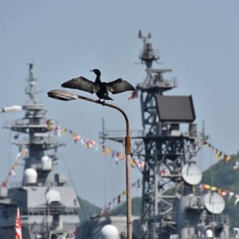 呉基地の満艦飾！などなど、、、（その１）