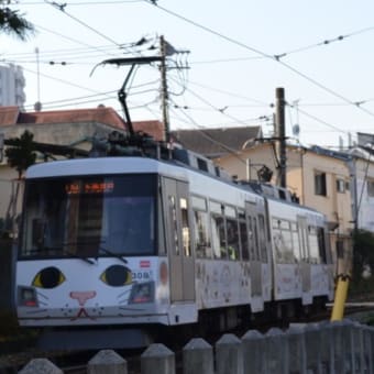 世田谷線の「幸運の招き猫電車」
