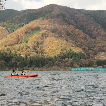 見頃を迎えた奥琵琶湖畔の秋