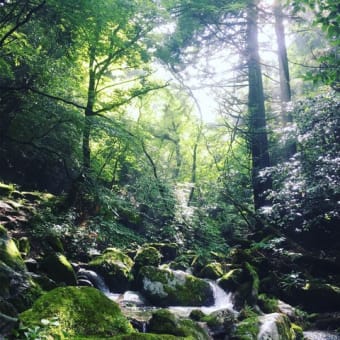 6月登山