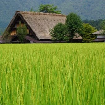 飛騨旅行、その2。