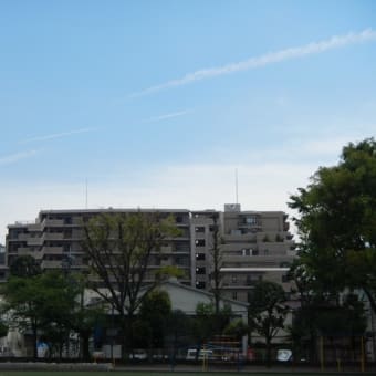 おうちが理科室