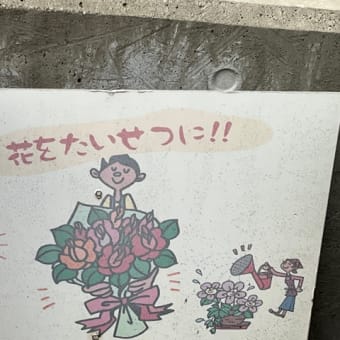 ジメジメしてきました