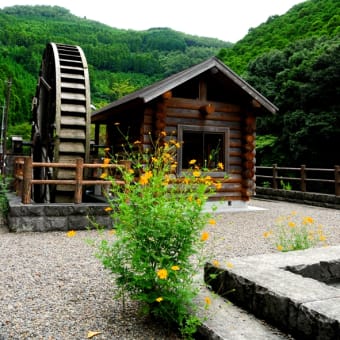 上陽町・星野川　「水車小屋」　【アミ】