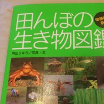 田んぼの生き物図鑑