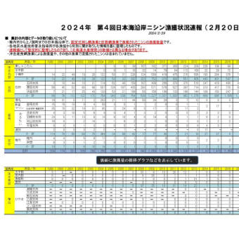 第4回日本海沿岸ニシン漁獲速報（2月20日） 累計漁獲量約2千㌧、前年同期に比べ460㌧増の好漁続く