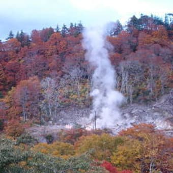 背中の痛み    紅葉１４