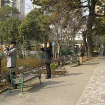 デジカメ１日でマスター講座　開講