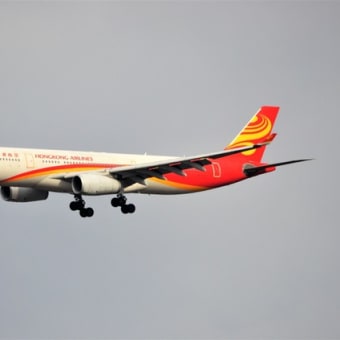袖ヶ浦市のマンホールカードと成田国際空港で出会った飛行機