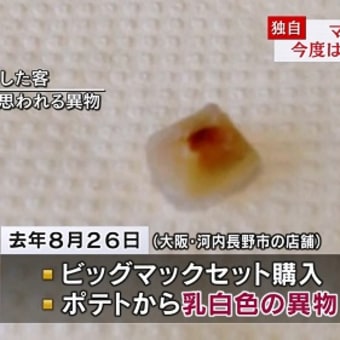 日本を破壊しているのは誰か　オルタ　＋　最後はマクドナルド化