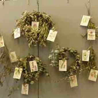 ☆2月1日(水)～2月20日(月)　　ハーブ作品展