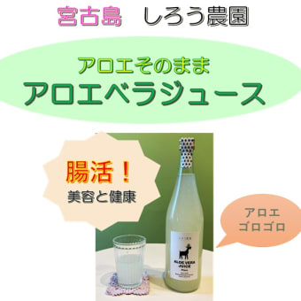 宮古島しろう農園さんのアロエベラドリンクが名古屋五彩生活でいただけます！