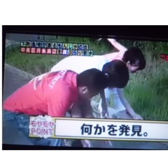 いろんなコーナ出来たでつなぁ～