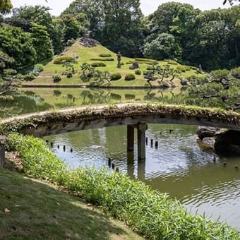 清澄庭園、初夏の彩り。