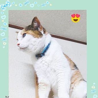 病み上がりみかちゃん
