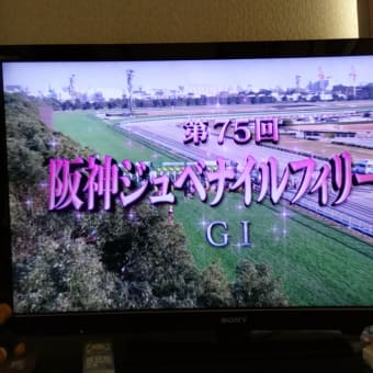 阪神ジュベナイルフィリーズ（G1）🐴