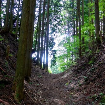 伊勢神峠（いせがみとうげ）お伊勢参りが出来る峠