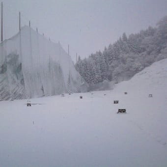 雪が降ってきました