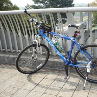 多摩湖の堤が完成らしいので