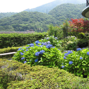 幹部社員合宿